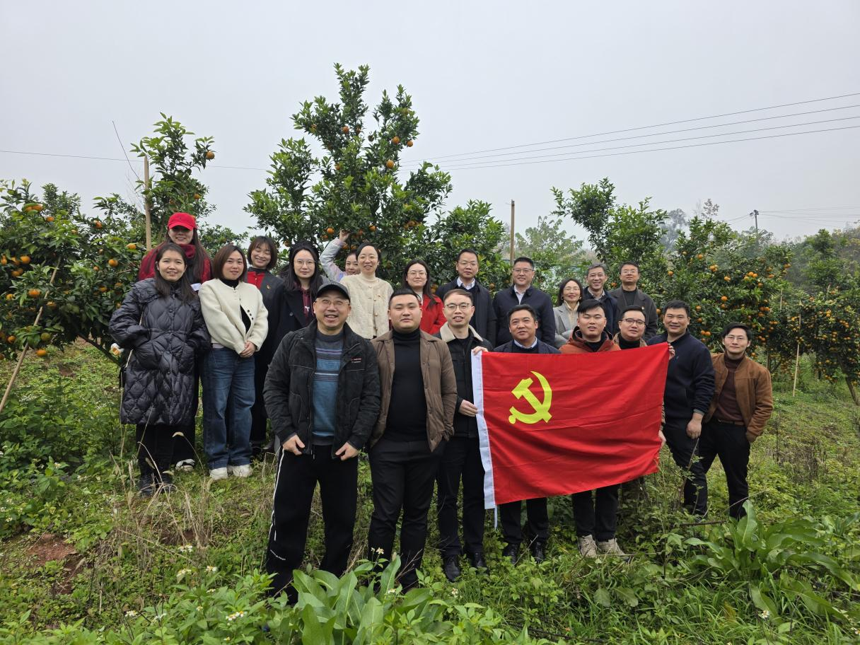 1766716888572204.png 圖片17.png